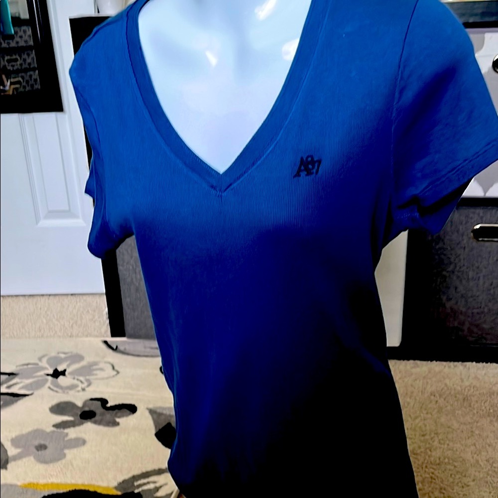American Eagle Outfitters Fitted Blue Short Sleeve Tee